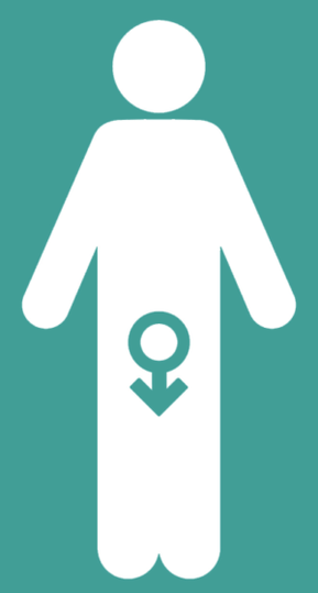 Impotencia masculina e un aumento dun membro