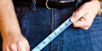 Dimensións do órgano xenital masculino
